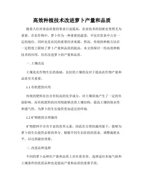 高效种植技术改进萝卜产量和品质