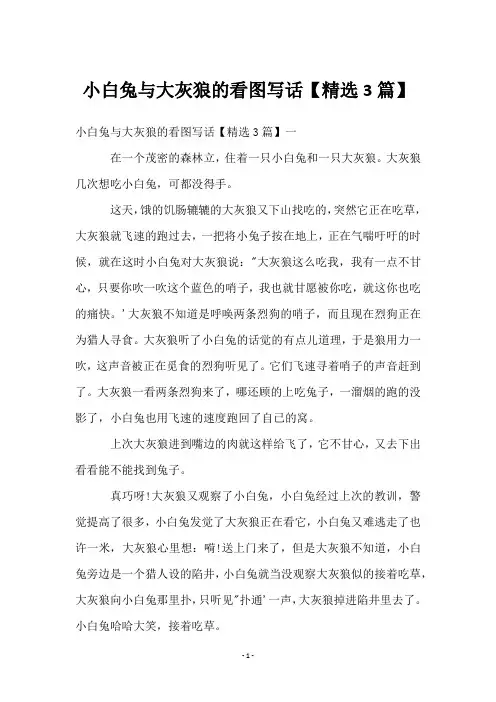 小白兔与大灰狼的看图写话【精选3篇】