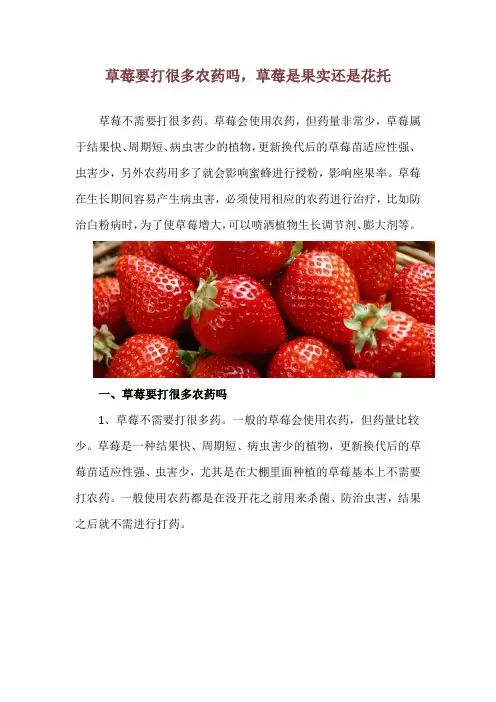 草莓要打很多农药吗,草莓是果实还是花托