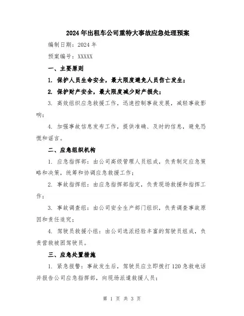 2024年出租车公司重特大事故应急处理预案