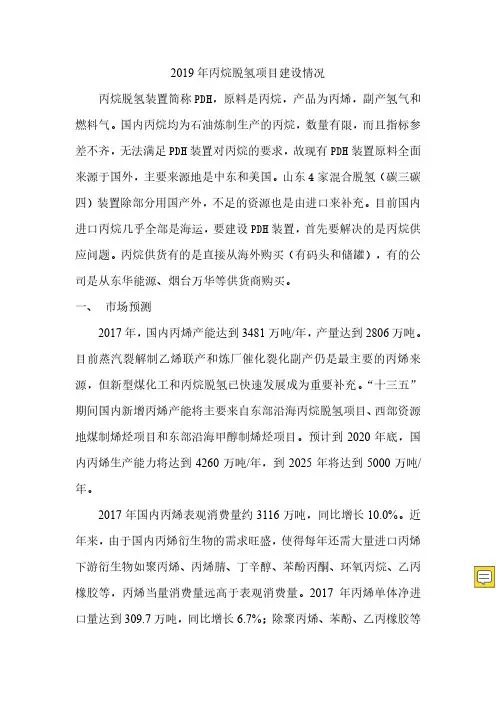 2019年丙烷脱氢项目建设情况
