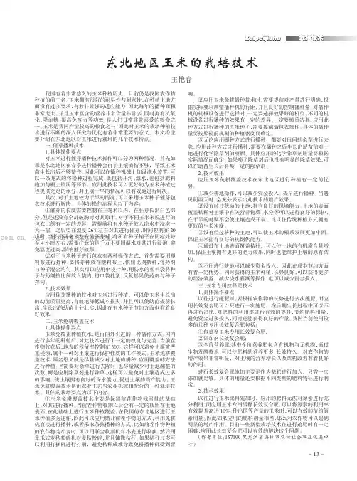 东北地区玉米的栽培技术
