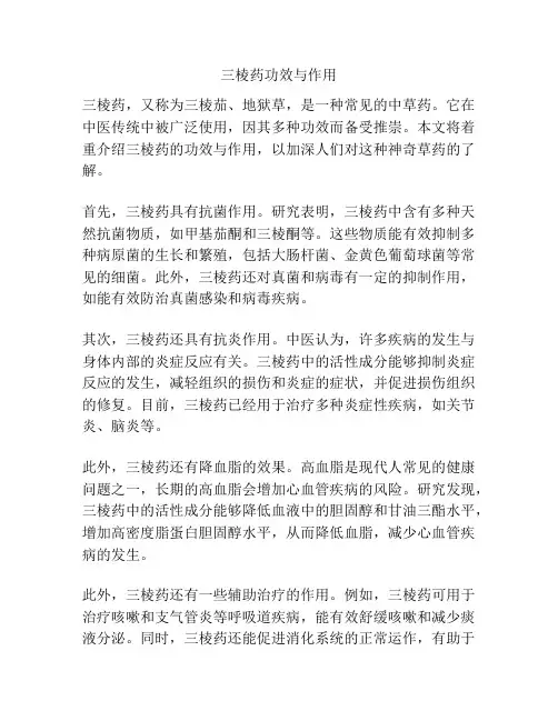 三棱药功效与作用