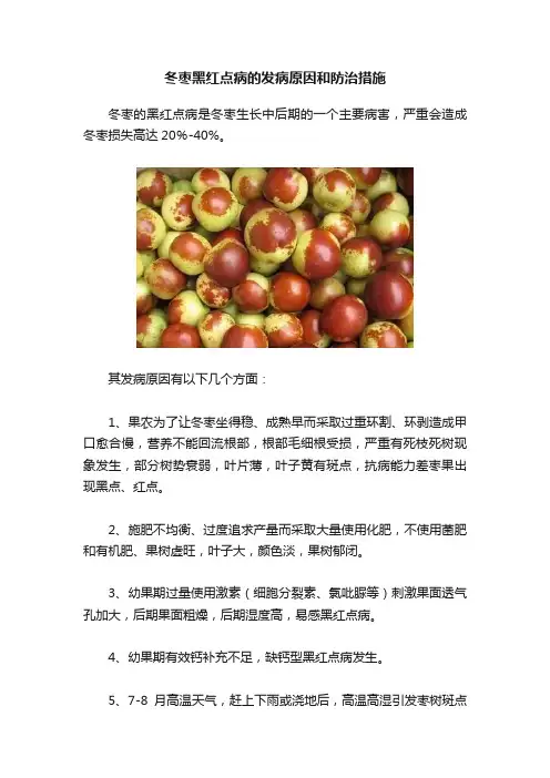 冬枣黑红点病的发病原因和防治措施