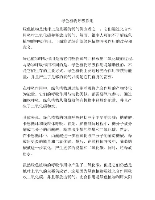 绿色植物呼吸作用