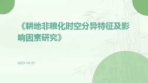 耕地非粮化时空分异特征及影响因素研究