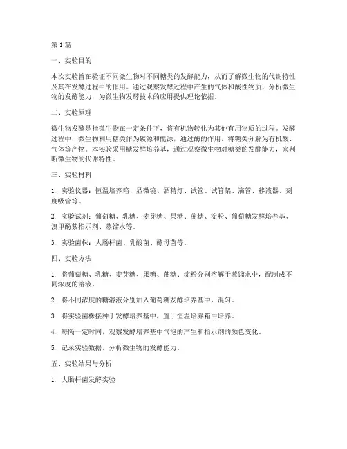 发酵验证实验报告(3篇)