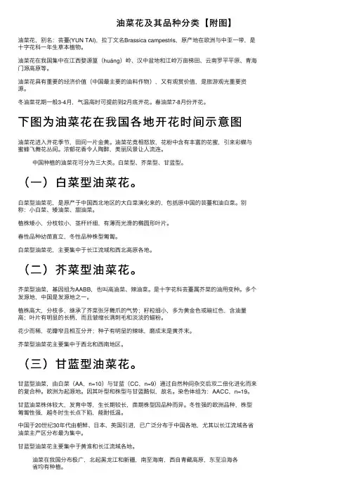 油菜花及其品种分类【附图】