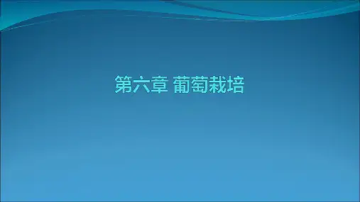葡萄栽培PPT课件