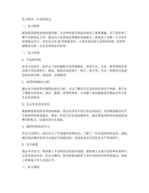 牛的品种鉴定的实习报告