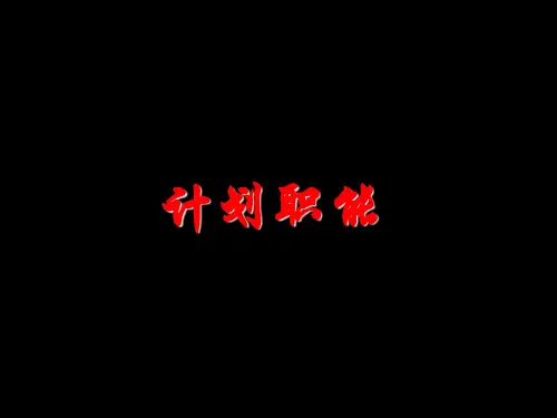 战略性计划【案例应用】