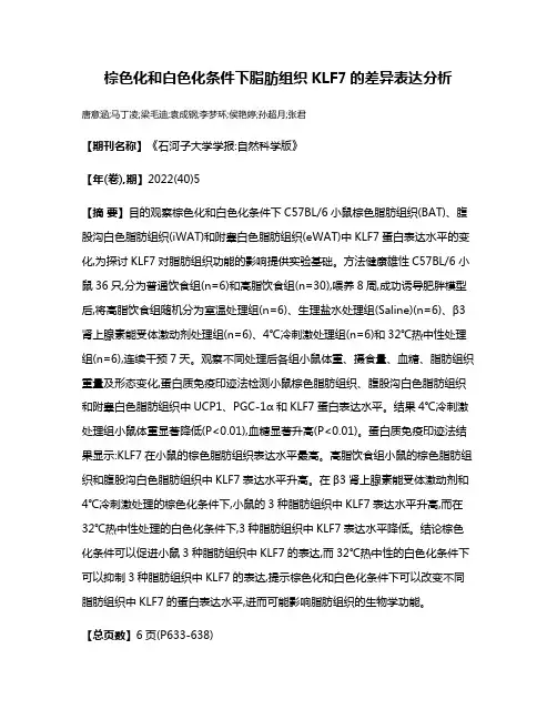 棕色化和白色化条件下脂肪组织KLF7的差异表达分析
