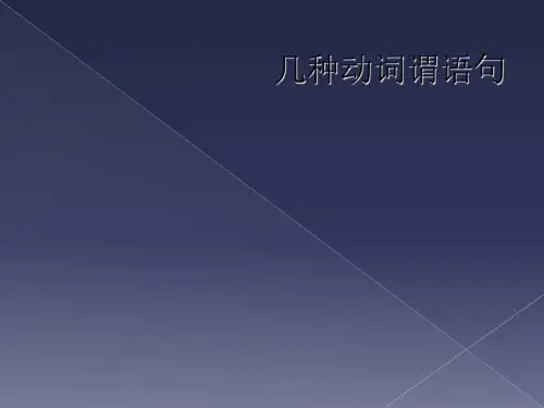 几种动词谓语句