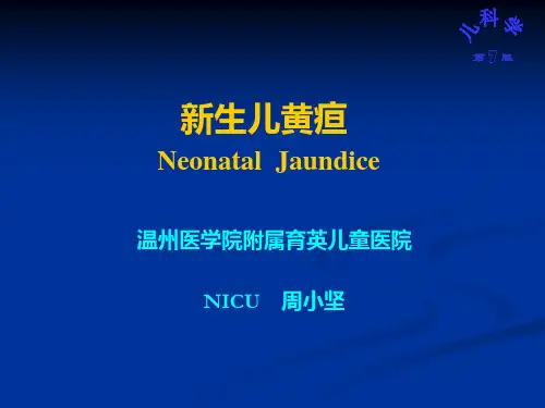 儿科学课件 新生儿黄疸