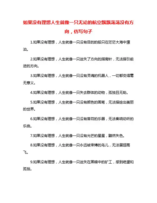 如果没有理想人生就像一只无论的航空飘飘荡荡没有方向,仿写句子