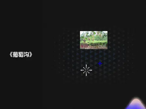 小学二年级语文上册《葡萄沟》ppt课件部编版