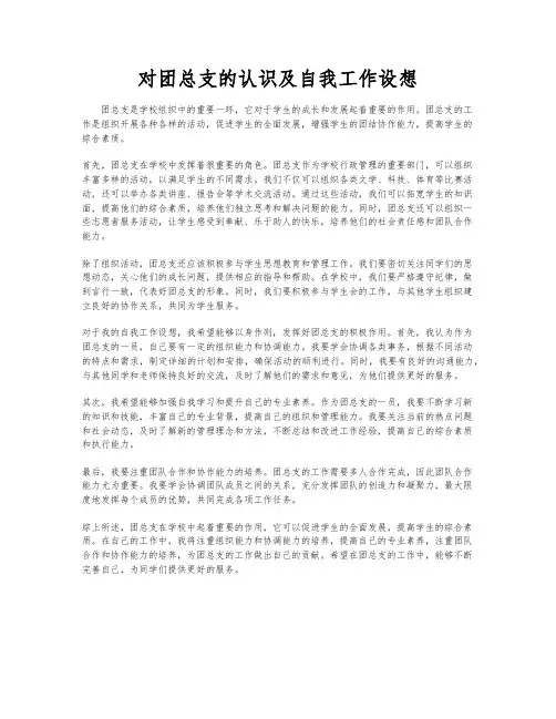 对团总支的认识及自我工作设想