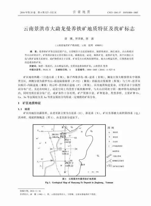云南景洪市大勐龙曼养铁矿地质特征及找矿标志