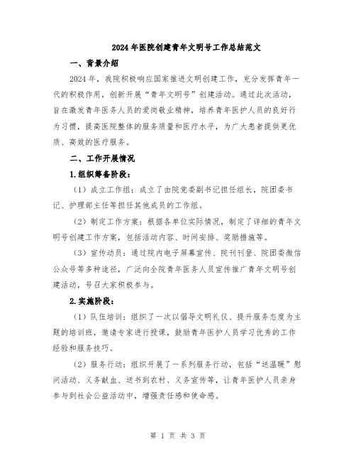 2024年医院创建青年文明号工作总结范文