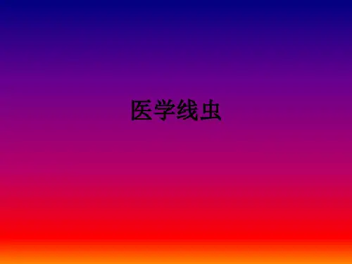 医学线虫ppt课件