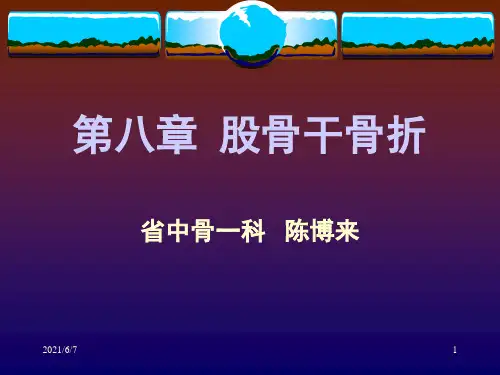 第八章-股骨干骨折PPT课件