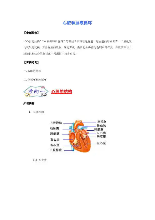 人教版中考生物专项复习-心脏和血液循环
