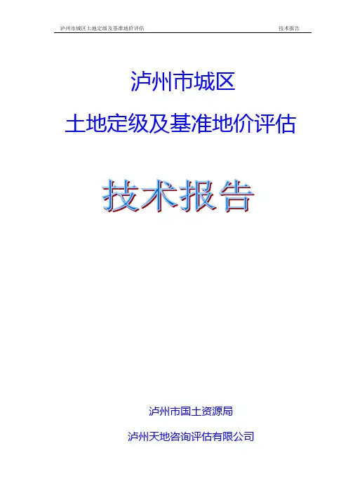 泸州市城区技术报告(摘要)