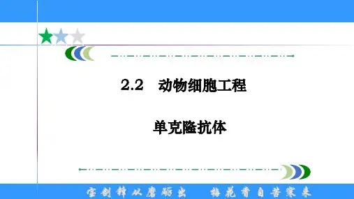 《单克隆抗体》【公开课教学PPT课件  高中生物】