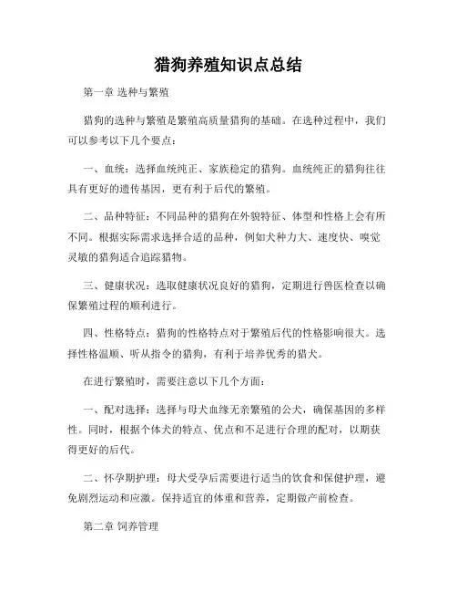猎狗养殖知识点总结
