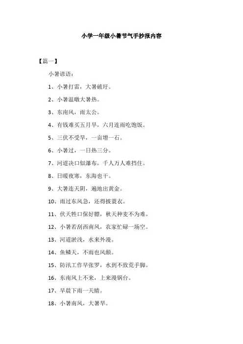 小学一年级小暑节气手抄报内容