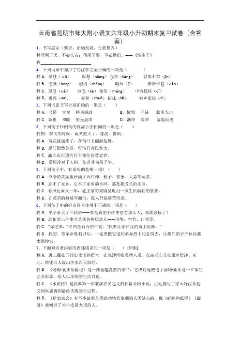 云南省昆明市师大附小语文六年级小升初期末复习试卷(含答案)