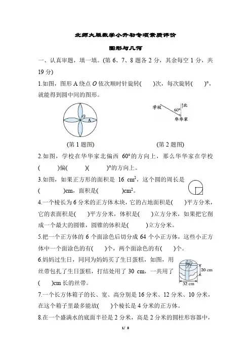 北师大版数学小升初数学图形与几何专题训练含答案