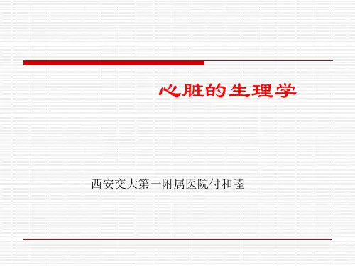 心脏生理学
