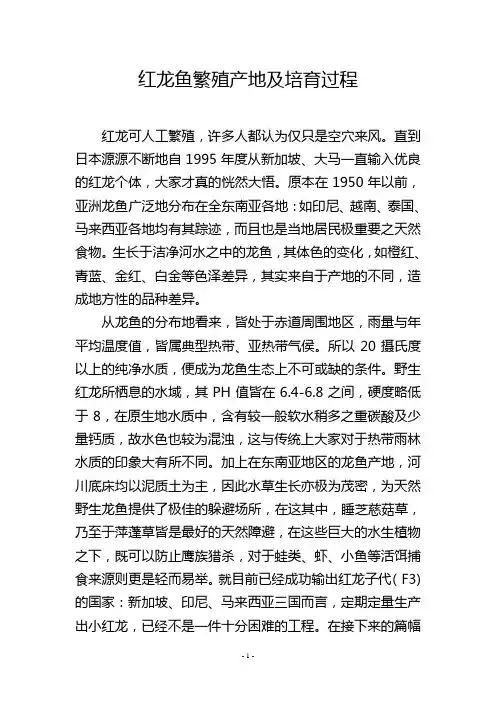 红龙鱼繁殖产地及培育过程