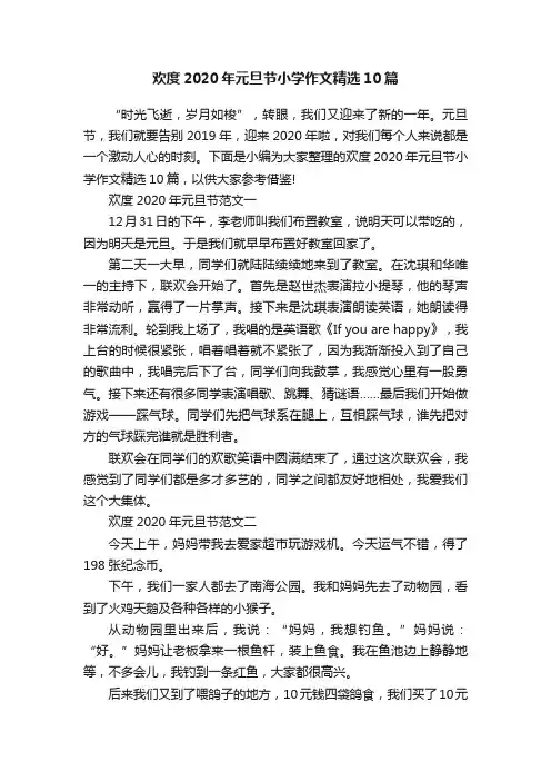 欢度2020年元旦节小学作文精选10篇