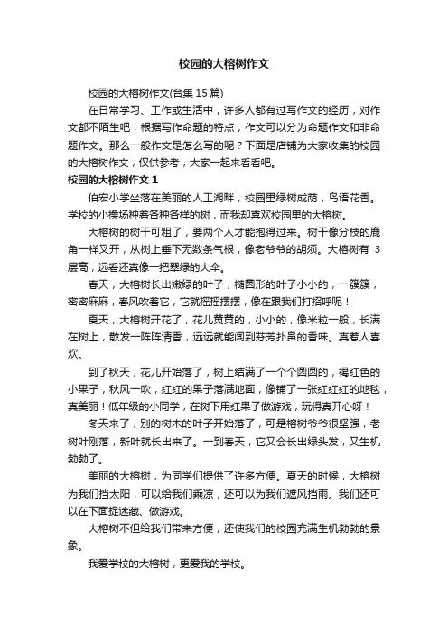 校园的大榕树作文