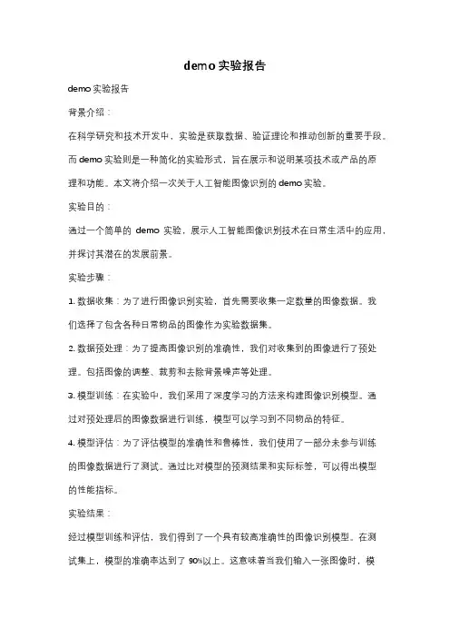 demo实验报告