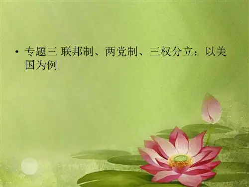 高考政治复习 专题三 联邦制、两党制、三权分立：以美国为例课件 新人教版选修3
