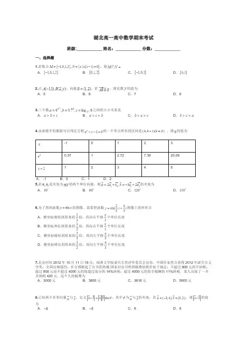 湖北高一高中数学期末考试带答案解析
