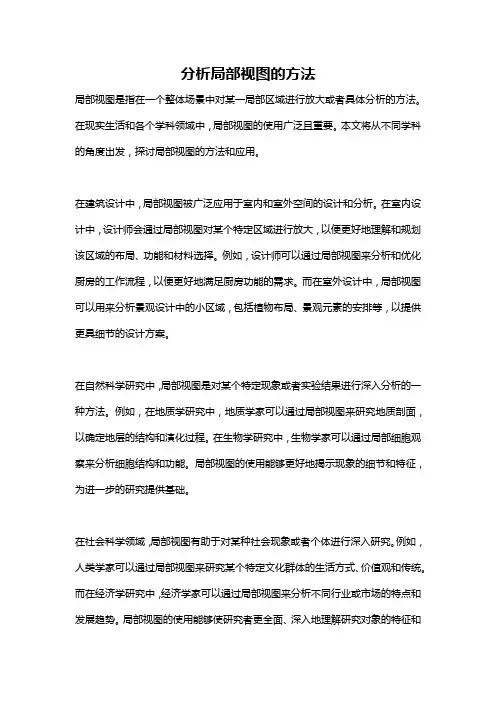 分析局部视图的方法