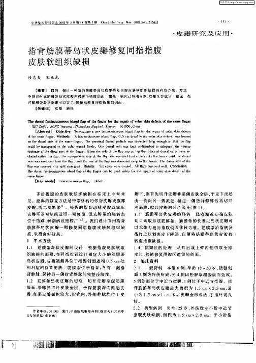 指背筋膜蒂岛状皮瓣修复同指指腹皮肤软组织缺损
