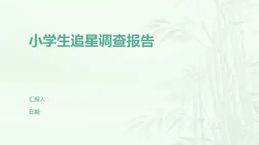 小学生追星调查报告