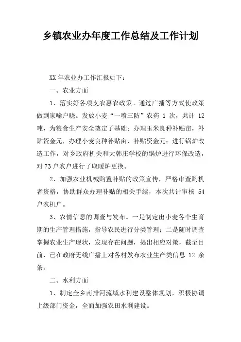 乡镇农业办年度工作总结及工作计划
