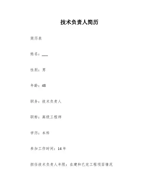 技术负责人简历