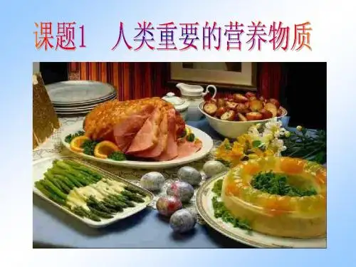 食物中的营养物质