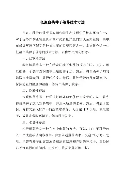 低温白菜种子催芽技术方法