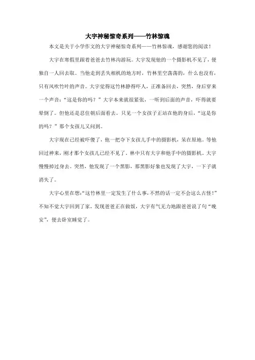 大宇神秘惊奇系列——竹林惊魂_小学作文
