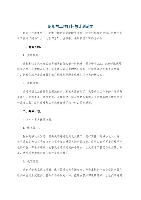 明年的工作目标与计划范文