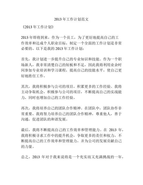 2013年工作计划范文