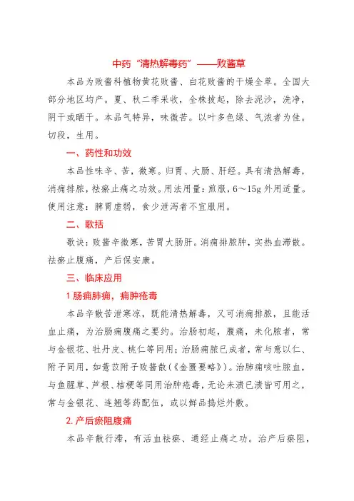 中药“清热解毒药”——败酱草